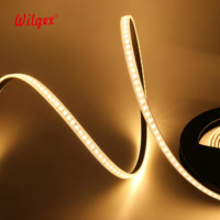 Bande LED en cuivre étanche IP67 12V/24V, conception DOB, découpable toutes longueurs, multi-surfaces, adhésif 3M, éclairage paysager de jardin