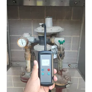 Ruyang DX200 High Accuracy Ex-Proof Flexible Gooseneck Portable EX Handheld Industrial Gas Leak Detector