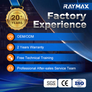 RAYMAX Piegatrice Automatica a Prezzo Competitivo Freno Pressa Idraulico CNC Curvatrice CNC per la Piegatura di Lamiere - Product Image 6