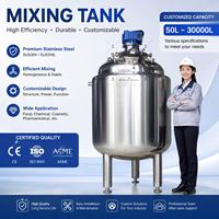 Mélangeur personnalisé en acier inoxydable Ace pour la fabrication de savon, machine à mélanger le détergent et le liquide vaisselle, cuve de mélange