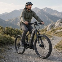 Vélo de montagne électrique pour adultes en gros, moteur arrière 750W, pneus larges 20 pouces 4.0, cadre en aluminium, Shimano 7 vitesses, vélo électrique d'aventure