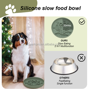 2025 Thiết Kế Mới Vòng Xương Rồng Silicone Duy Nhất Chậm Xuống Con Chó Con Lớn Pet Thức Ăn Chó Bát Chậm Trung Chuyển - Product Image 3