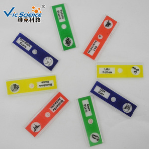 Lames microscopiques, lames en plastique, ensembles de lames sur le thème des plantes, lames microscopiques pour les écoles primaires et secondaires, pour enfants - Product Image 2
