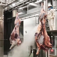 Ligne d'abattage de bétail industrielle, équipement d'abattoir automatique pour bovins, ligne de transformation de la viande de bœuf