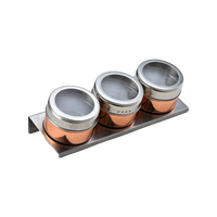 Vente chaude Ensemble portable en acier inoxydable pour café et thé Contenants pour sel et poivre Shakers à épices magnétiques
