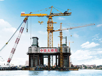 Grue à tour plate Zoomlion 10 tonnes R165-10RA avec composants de moteur essentiels