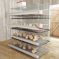 Nouveau poulailler automatique en acier galvanisé de type H Linchuan Hebei pour l'élevage de poulets, capacité 80 kg, durée de vie 15-20 ans, garantie 1 an
