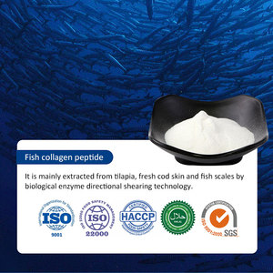<span class=keywords><strong>Collagène</strong></span> tripeptide (CTP) en poudre de haute pureté, <span class=keywords><strong>collagène</strong></span> de poisson à poids moléculaire ultra-bas pour les compléments beauté - Product Image 6