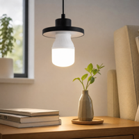 Fournisseur d'ampoules LED de haute qualité, ampoules LED haute puissance 10W 20W B22/E26/E27 AC 6500K, usage résidentiel, vente en gros