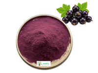 DARWIN Natuurlijk Anthocyanine Poeder 10% Zwarte Bes Fruitextract Zwarte Bes Extract