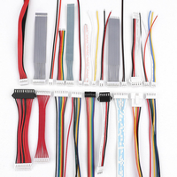 Ensamblaje de cables de fábrica Todo Tipo de arneses de cables JST personalizados 1,0 1,25 1,5 2,0 2,54mm Pitch