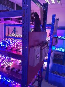 <span class=keywords><strong>Rgb</strong></span> Ws2811模块12毫米灯彩色全串点12v 9毫米像素Dc5v防水2811条数字户外发光二极管像素灯 - Product Image 6