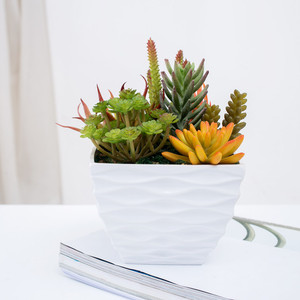 mayor <span class=keywords><strong>de</strong></span> <span class=keywords><strong>interior</strong></span> al aire libre casa jardín decoración 3D maceta <span class=keywords><strong>de</strong></span> suculentas plantas artificiales <span class=keywords><strong>de</strong></span> melamina para - Product Image 1