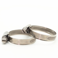High Quality Factory Supply Germany Type SS304 Material Heavy Duty Hose Clamp for Mining/Healthcare/General Industry Use
