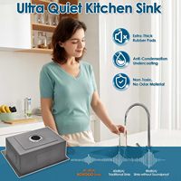 NEXGRAND 24-Zoll-Küchenspüle aus 304 Edelstahl, 24x18x9 Rechteckige Aufsatzspüle, Handgefertigt, Modern, 2-Loch-Ablaufgarnitur aus Messing
