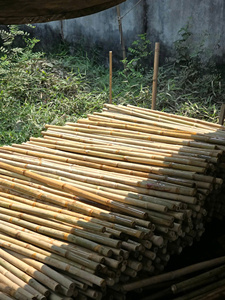 Poteaux en bambou Tam Vong du Vietnam, durables et flexibles, pour plantes grimpantes, agriculture, aménagement paysager et projets extérieurs - Product Image 4