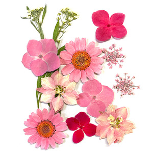 Diy Dried Flower <b>Bookmark</b> Plastic Transparent With Holes Mixed Colors Eco Friendly For School Craft Projects - Product Image 2