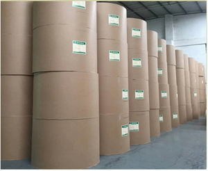 <span class=keywords><strong>PE</strong></span> tráng giấy cuộn cho cốc giấy 100% thân thiện với môi trường bột gỗ thực phẩm không thấm nước nguyên liệu tráng cuộn giấy tờ - Product Image 5