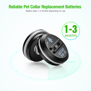 EBL 10 pièces RFA-67 210mAh 6 Volt Piles au lithium de remplacement pour collier de chien - Product Image 4