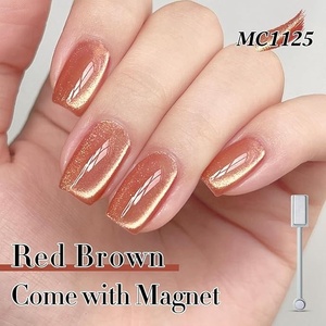 Cat Eye <b>Gel</b> Polish Set Shimmer Glitter with Magnet Holographic Reflective Magnetic UV Nail Art <b>Kit</b> - Product Image 4