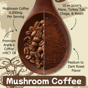 Café aux champignons à prix de gros avec mélange exclusif de champignons, soutien immunitaire, santé cérébrale et énergie - Product Image 4