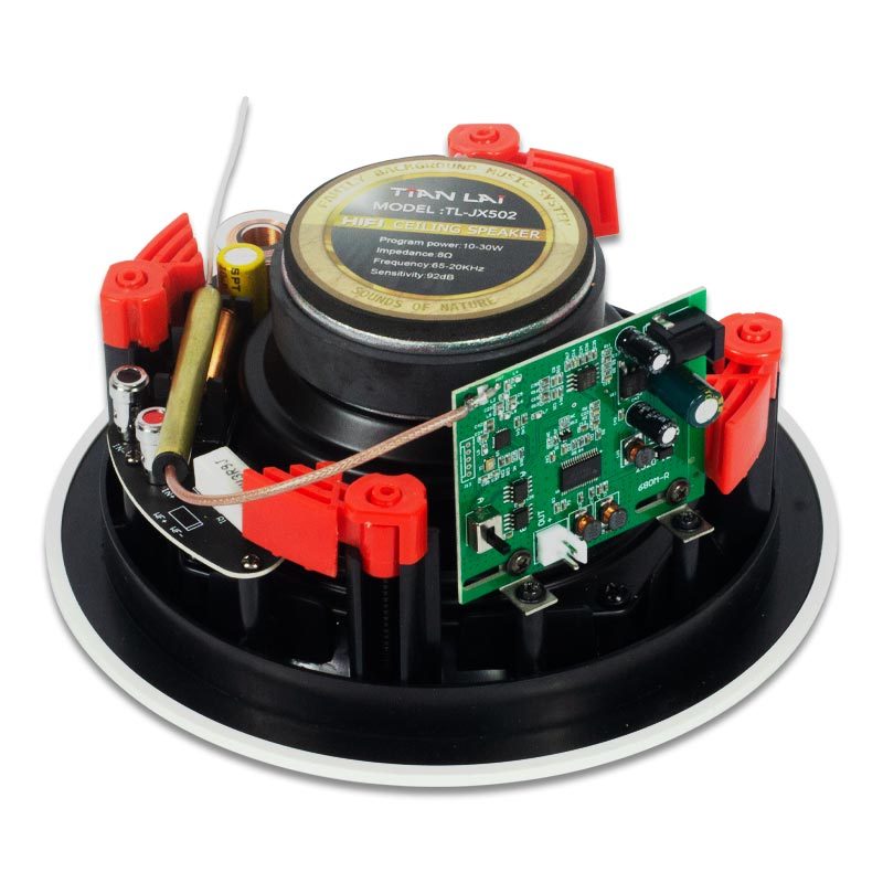 Tianlai TL-WX Amplificadores De Audio Mini Amplifier Bluetooth Multiroom Ceiling Speaker Bluetooth Wireless With Amplifier · image 6