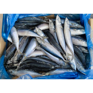 Caballa del Pacífico Congelada, Caballa IQF, Caballa del Pacífico a Bajo Precio, Caballa del Pacífico HGT al por Mayor - Product Image 5