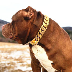 Desain kustom mode rantai logam baja tahan karat dapat disesuaikan kerah rantai anjing Skotlandia untuk anjing - Product Image 2