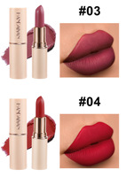 Rouge à lèvres mat hydratant en tube blanc crème, soyeux, hydratant, double soin intérieur, longue tenue, résistant au transfert, OEM ODM