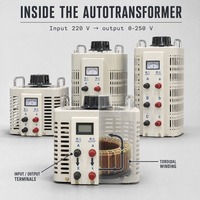 Transformateur variable TDGC2 2 kVA, entrée 220 V, sortie 0 à 250 V, monophasé, autotransformateur toroïdal en cuivre, 50 Hz/60 Hz