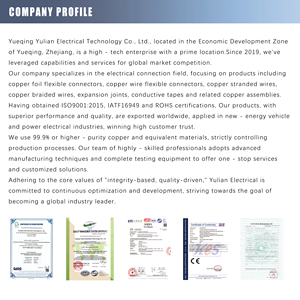 Cách điện rắn r Linh hoạt đồng Shunt - Product Image 3