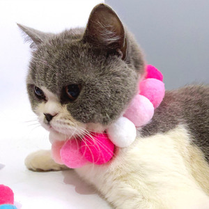 Magnifique collier pompon pour animaux de compagnie, bleu et blanc doux, pour petits chiens et chats, accessoire pour animaux de compagnie toutes saisons - Product Image 3