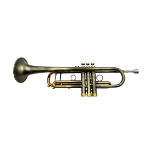 <span class=keywords><strong>Trompeta</strong></span> Profesional SEASOUND Tono Si Bemol Estilo Vintage OEM Cuerpo de Latón Dorado con Llaves Duraderas JYTR409DVGGL - Product Image 4