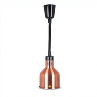 Lampe chauffante suspendue commerciale pour le maintien au chaud des aliments dans les hôtels, restaurants, buffets et stations de découpe, avec ampoule incluse