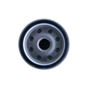 60100008289 612600081294 5651155 Filtro de Combustible para Cargadora de Ruedas, Repuesto del Sistema de Filtro - Product Image 4