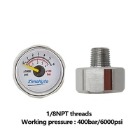 High Pressure HPA 1/8NPT Threads Brass Mini Micro Pressure Gauges Manometer PAG300-NPT 1 Year Warranty Customizable OEM Support