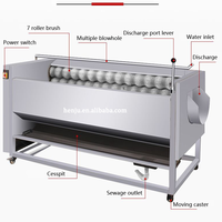200Kg Verticale Borstel Jujube Reinigingsmachine Sterk Aanbevolen Kleine Mini Borstelwasmachine Voor Dadelpalm Op Voorraad