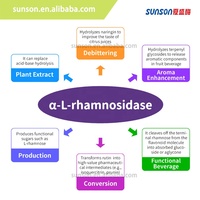 Enzyme Rhamnosidase : Enzyme de Débitterissage Efficace pour Jus d'Agrumes & Optimiseur de Biodisponibilité des Flavonoïdes – Extraction Pure