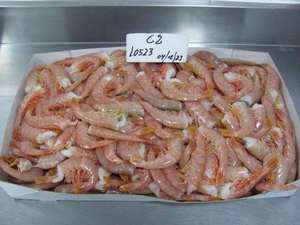 Tôm Đỏ Argentina Đông Lạnh Mùa Mới - Product Image 2