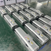 Module d'actionneur linéaire à vis à billes Pi, bras robotique linéaire à axe unique pour l'automatisation, le prélèvement, le placement, l'étiquetage et l'inspection