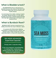 Compléments Minéraux et Baies d'Agripaume Sauvages Marque Blanche – Capsules de Mousse de Mer Irlandaise pour la Croissance Capillaire