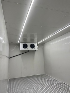 5ton 10ton 25ton Cold Room Hotel Energy Save Walk in Freezer Almacenamiento en frío - Product Image 2