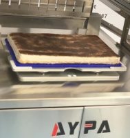 Trancheuse à gâteaux ultrasonique pour brownies, cheesecakes et desserts – Machine de découpe industrielle pour bases de gâteaux – Prix