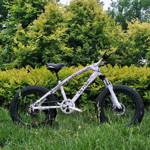 <span class=keywords><strong>Bicicleta</strong></span> Fat Bike de Carbono 4.0 para Hombre/ <span class=keywords><strong>Bicicleta</strong></span> de Montaña Fat Bike con Suspensión Completa, Llantas de Aleación/ <span class=keywords><strong>Bicicleta</strong></span> Popular con Neumáticos Gruesos y Buen Neumático - Product Image 4