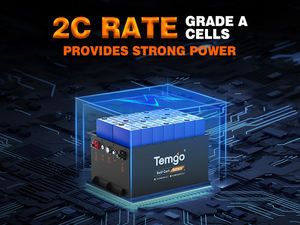 แบตเตอรี่ลิเธียมสำหรับรถกอล์ฟ lsv รถกอล์ฟ Lifepo4 100AH 36V 48V 51.2V 60V 72V 96V สำหรับรถกอล์ฟ - Product Image 2