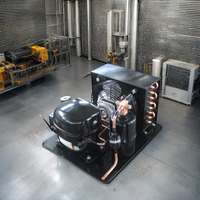 Nouveau compresseur automatique 1/2 HP pour réfrigérateur, unité de condensation, économie d'énergie, prix compétitif, usine de fabrication, état d'occasion