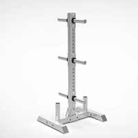 Support de rangement vertical multifonctionnel en acier pour plaques de poids, robuste et sûr, argenté, pour usage commercial et domestique, personnalisable, fourni directement par l'usine