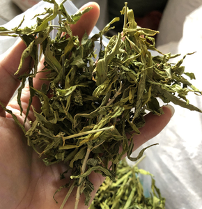 乾燥マジックティー サバハ スネークグラス ハーブ クリナカンサス・ヌタンスの葉 1000g (お茶用) - Product Image 4