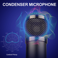 Microphone de podcast Depusheng A11, kit de microphone pour karaoké, enregistrement USB, microphone à condensateur de studio