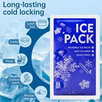 Pack de glace sèche en gel pour glacière alimentaire jetable en plastique personnalisable avec logo, feuille de congélation avec logo pour boîte à lunch
